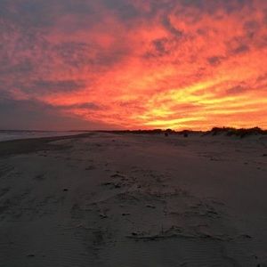 Meet your Posher, Sandy